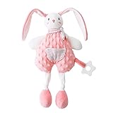Baby Toys 0-6 Months,Loveys Shower Gifts for Babies,Soft Teether Toys for Newborn Girls,Infants Essentials,ColinBeni Toddler Stuffed Animals Bunny Doll,Snuggle Secure Blanket