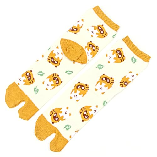 [v[[hbO] az ܌C  I C fB[X ܃\bNX a 22-25cm { (JP, TCY, 25.0 cm, ʂ)