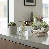 Purism Style Plant Mister- Clear Color Glass Bottle & Brass Sprayer (Matt Gold)