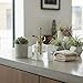 Purism Style Plant Mister- Clear Color Glass Bottle & Brass Sprayer (Matt Gold)