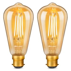 DiCUNO ST64 Vintage Light Bulb B22, 6W=60W, Warm White 2200K, 660LM, 2Pcs
