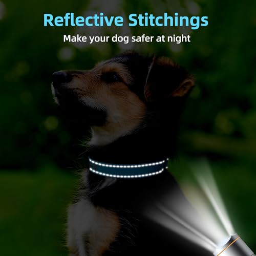 Personalisiertes Hundehalsband, Bestickt mit Namen und Telefonnummer, Weiches Neopren Gepolstert,Verstellbar für Kleine, Mittelgroße,Große Hunde