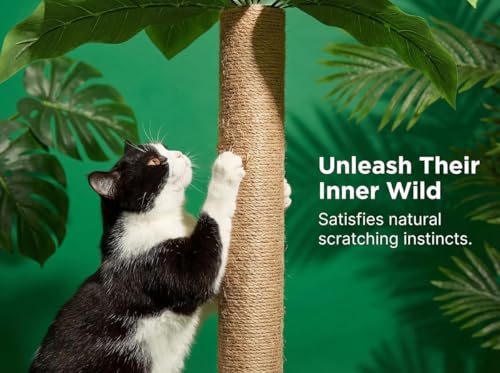 LEMONDA 31.5Inch Cat Scratching Post,Cat Scratcher Tree with 3 Scratching Poles & 2 Interactive Dangling Balls,Cats Scratching Posts for Indoor Kitten & Adult Cats - Image 5