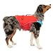 Kurgo Surf N Turf Hundeschwimmweste - Auftriebshilfe für Hunde - Neopren gefütterte Hundeweste - Reflektierendes Ripstop Material - Sicherer Sitz - Alte Verpackung - Rot/Blau - XS