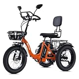 NARRAK Semi-Recumbent E-Trike