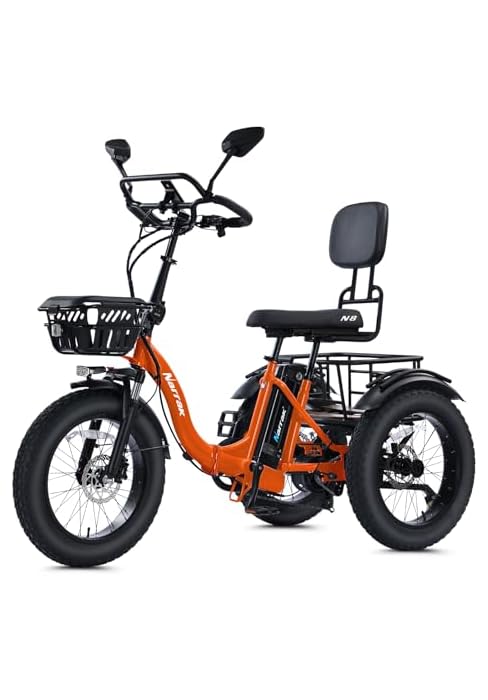 Electric Tricycle N8