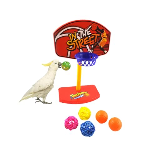 Fsocpen Parrot Intellective Mini �o�X�P�b�g�{�[�� ���b�N �g���[�j���O�g�C�A�o�[�f�B�[�o�X�P�b�g�{�[�� �o�[�h�g�C�A�o�[�h�`���[�{�[�� �̉a�ߋ�A�I�E���A�N�e�B�r�e�B��������A�o�[�h�g���[�j���O�W����������