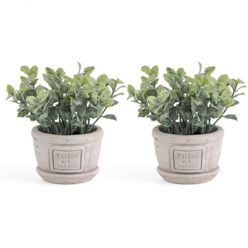 Fuxdre 2 Pack Small Artificial Plants with Mint, The Mint Plants for Farmhouse Bathroom Decor, Rustic Home Decor for Living Room Bedroom Office Table Tray Shelve Indoor Fuxdre 2 Pack Small Artificial Plants with Mint, The Mint Plants for Farmhouse Bathroom Decor, Rustic Home Decor for Living Room Bedroom Office Table Tray Shelve Indoor