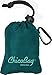 ChicoBag Original Compact Reusable Grocery Bag w/Attached Pouch and Carabiner Clip | Perfect for Shopping, Travel, Organization | Eco-Conscious Packable Tote | Aqua (Pack of 1)