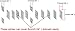 Fretboard Markers Inlay Stickers Decals for Guitars & Bass - Texan