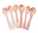 Produktbild DUEBEL Set von 6 Perlmutt MOP Mother of Pearl Löffel für Kaviar Eier Serving, 8 cm