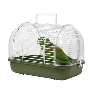 Bird Carrier | Carry Case with Standing Perch Transparent Window | Travel Bird Cage | for Parakeet Canary Cockatiel Conure Bearded Dragon