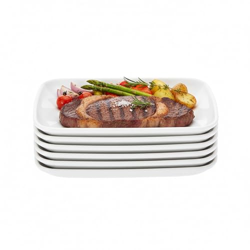 6 Pcs Rectangular Serving Plates - 7.48” X 4.72” Sushi, Dessert, Appetizer, Snack, Breakfast Platters for Home, Restaurant, Kitchen