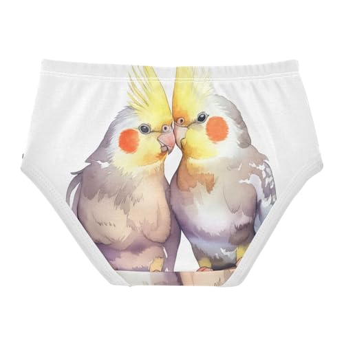 Cute Cockatiels Birds Valentine Girls Underwear Toddler 2t Cotton Panties for Girl Funny Kids Briefs Undies2