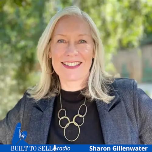 Ep 537 Why this $5M Business Sold for $25M