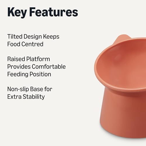 Amazon Basics Raised Cat Feeding Bowls, Cat Ear Shape, Tilted Design, Whisker-Stress Free, Non-Slip Base, 13.2 x 13.2 x 11.43 cm, Orange and Blue, 2-Pack