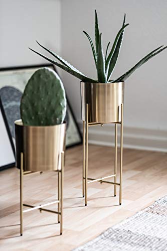 Kimisty Set 2 Brass Gold Planters With Stand, 7 Inch Diameter Planter Pots With Stands, Modern Flower Pot, Mid Century Living Room Decor For Orchid, Aloe, Large Cactus Plants, 7 Inches Diameter #TOP1