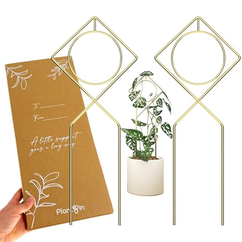 Small Trellis for Potted Plants (Pack of 2), Gold Metal Plant Support Stake for Indoor Climbing Plants, Boho Plant Decor Accessories - Gold Color Size: 17” x 7”