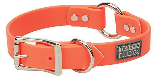 Terrain D.o.g. Brahma Webb Hunting Dog Collar, 1" X 21", Blaze Orange #TOP18