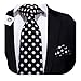 Hi-Tie Black White Polka dots Woven Silk Tie Hanky Cufflinks set