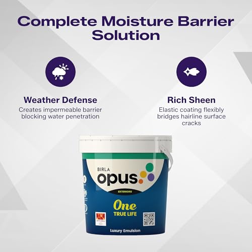 Image of Birla Opus One True Life Luxury Exterior Emulsion Paint (10L, White Colour, Rich Sheen Finish)-All Weather Protection with UV Resistant Pigments-For Outside /Outdoor walls of Home, Office