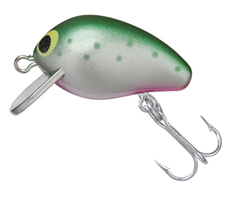 Yo-Zuri R1217-RT Snap Beans, Color, Rainbow Trout, 25mm 1