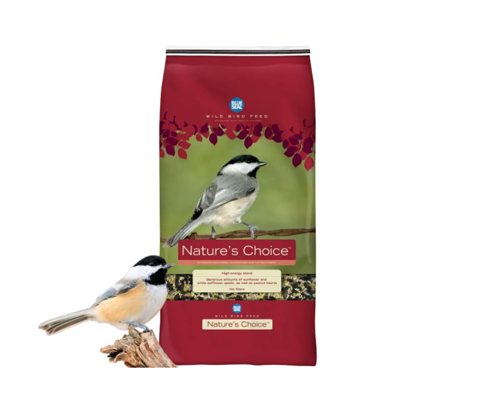 What is Wild Bird Seed Made of: Essential Ingredients Revealed