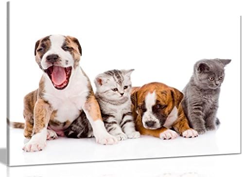 Puppies And Kittens Nursery Canvas Wall Art Picture Print (18x12in)
