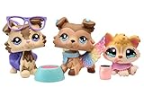 N/A USA LPS Collie Set 893 2210 Tan and Brown LPS Husky 1013 Dog Puppy Figure with Accessories Lot...