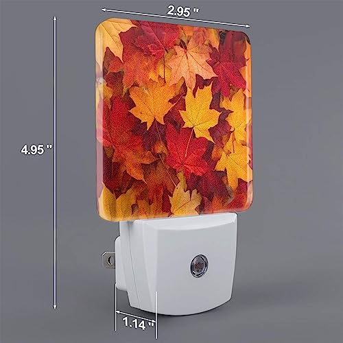 Image of Autumn Leaves Fall LED Plug-in Night Light 2-Pack, Auto Sensor Nightlights Set of 2 for Bedroom Bathroom