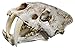 WQQLQX Statue Säbelzahn-Tiger-Skull-Skulptur, Harz-Replikation Tier Horror Schädel Modell Statue Home Bar Halloween Dekoration Zubehör 32 * 18,5 * 18 cm Skulpturen