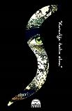 Son book cover