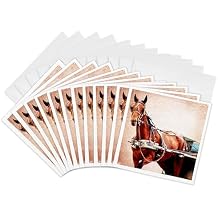 3dRose Greeting Cards - Amish Buggy Horse - 12 Pack - Horses