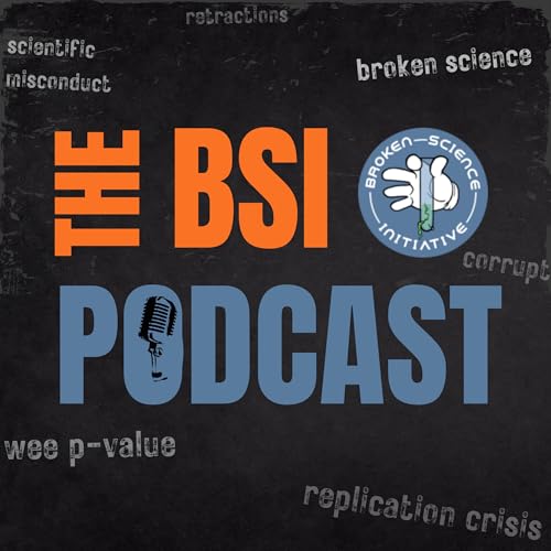 Introducing the BSI Podcast