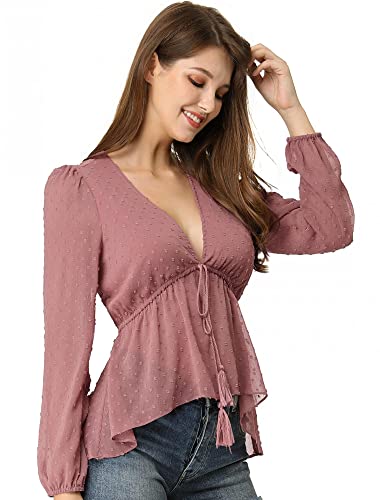 Allegra K Women s Deep V Neck Swiss Dots Long Sleeves Sheer Chiffon Shirt Top Large Rose Red