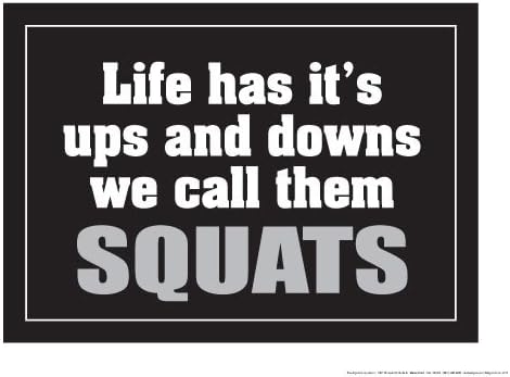 Life has It's ups and Downs we Call Them Squats 18" X 24" Poster