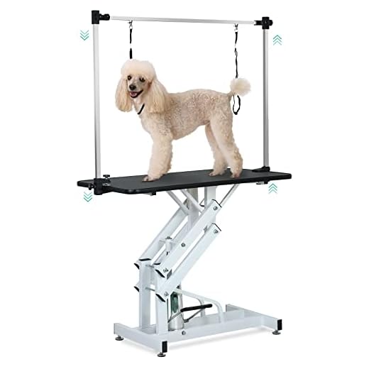 Lyromix Hydraulic Dog Grooming Table for Small/Large Dogs, Heavy Duty Foldable Pet Grooming Table with Adjustable Arm and Nooses, Maximum Capacity Up to 330Lb, 43in