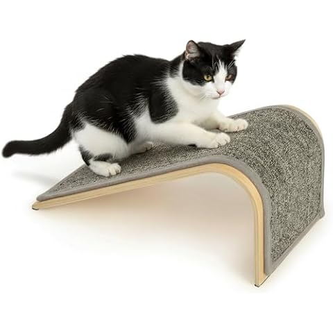 SmartyKat Carpet Angle Scratch Ramp Cover