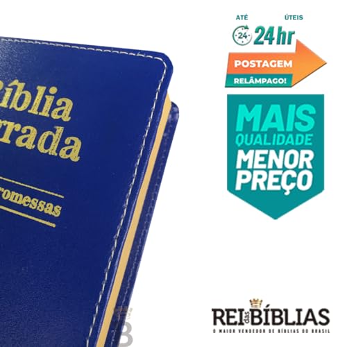 Kit 10 Bíblias Sagrada Pequena - Luxo Variadas 9x13 cm