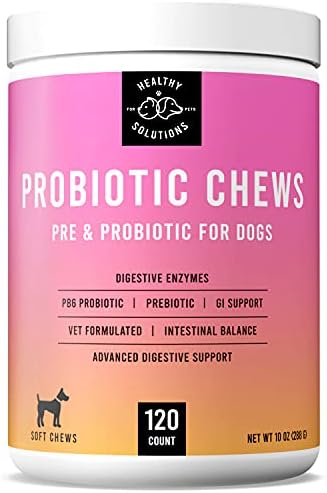 Probiotics for Dogs - Dog Probiotic and Digestive Enzymes - 120 Soft Chews for Digestion Support - Vet Strength Pet Supplement - Made in USA