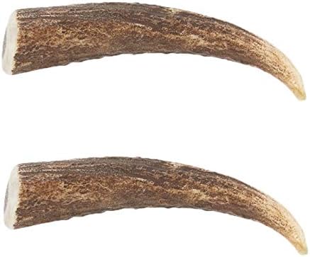 Ace Antlers Deer Antlers for Dogs (XL 150-200g Piece) - Natural Dog Antler Chews for Chewing Satisfaction - 8 Sizes inc Small, Medium and Large Antlers for Puppies and Adult Dogs