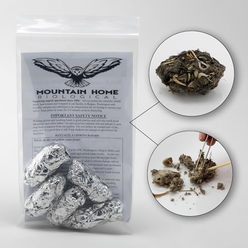 Barn Owl Pellets, 엑스트라 라지 펠릿 5개 팩 및 뼈 분류 가이드, 개별 호일 포장 및 사전 등급, 과학 교실 실습 해부 키트 — 사진 2