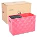 Salon Hairdresser Tool Storage Case Holder Rack for Scissors Combs Clips Organizer, Professional Pet Groomer Shears Rack Holder (Red)