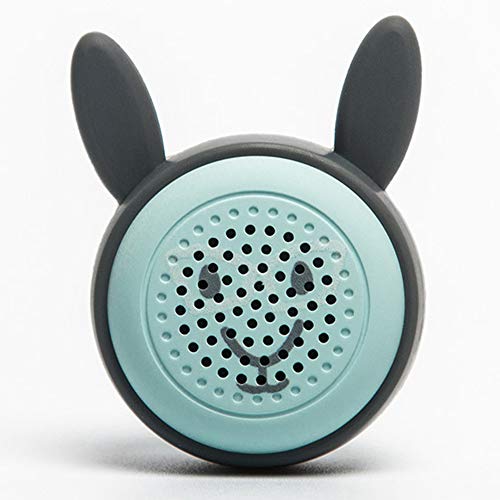 NCBH Bluetooth Universel 5.0 Haut-Parleur sans Fil Bluetooth Grand Volume Petit Mini Haut-Parleur Audio Haut-Parleur Caisson de Graves Portable Petit Speaker Small Gun Steel Cover