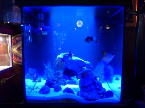 Genssi Blue Led Pod Smd Wide Angle Module Waterproof 12V Edge Cabinet Strip Marine Automotive Lighting 4 Pack #TOP5