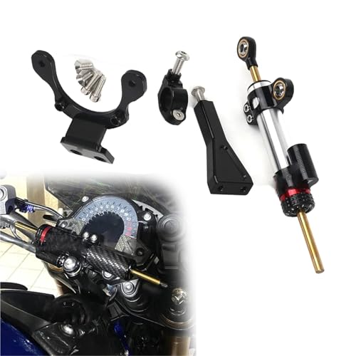 Amortisseur de direction pour Kawasaki Z900 2020-2024 avec kit support en argent