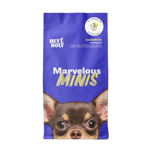 HEY HOLY Premium Trockenfutter für Minis 100% getreidefrei | 7kg Hundefutter für ausgewachsene Minis mit Forelle | Hochverträglich aus natürlichen Zutaten