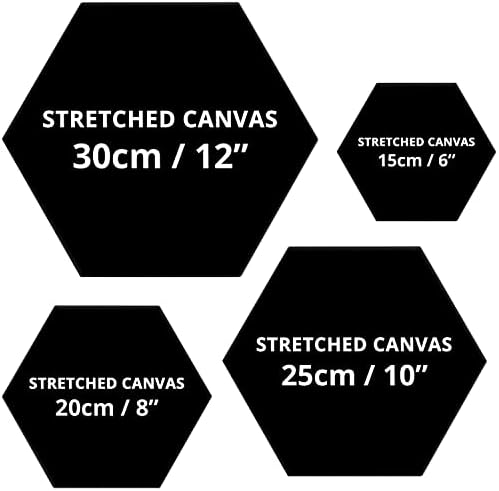 Belle Vous 4 Pack Black Hexagon Canvas Set - 4 Assorted Sizes - Pre Stretched Canvas Panel Boards - Suitable for Acrylic and Oil Painting Also for Sketching and Drawing