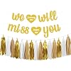 Retirement Party Decorations - We Will Miss You Banner and Paper Tassel Garland for Going Away Party Decorations Graduation Farewell Retirement Decorations, Gold