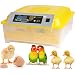 Egg Incubator,48 Eggs Digital Incubator with Automatic Egg Turning,Fertilized Chicken Duck Goose Turky Quail Brids Eggs for Hatching (1)